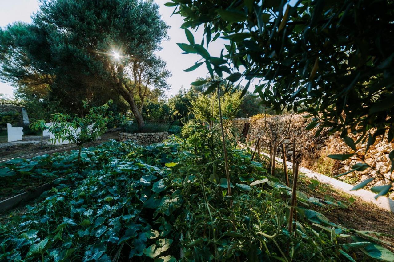 Agroturismo Rafal Rubi Alaior Ngoại thất bức ảnh